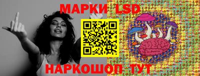 шишки Лесосибирск