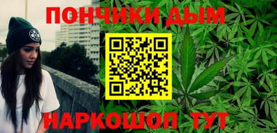 шишки Лесосибирск