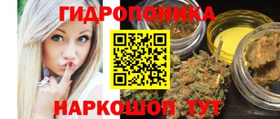 шишки Лесосибирск