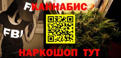 шишки Лесосибирск
