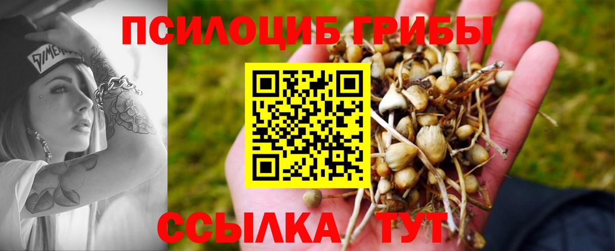 Псилоцибиновые грибы MAGIC MUSHROOMS Гусев