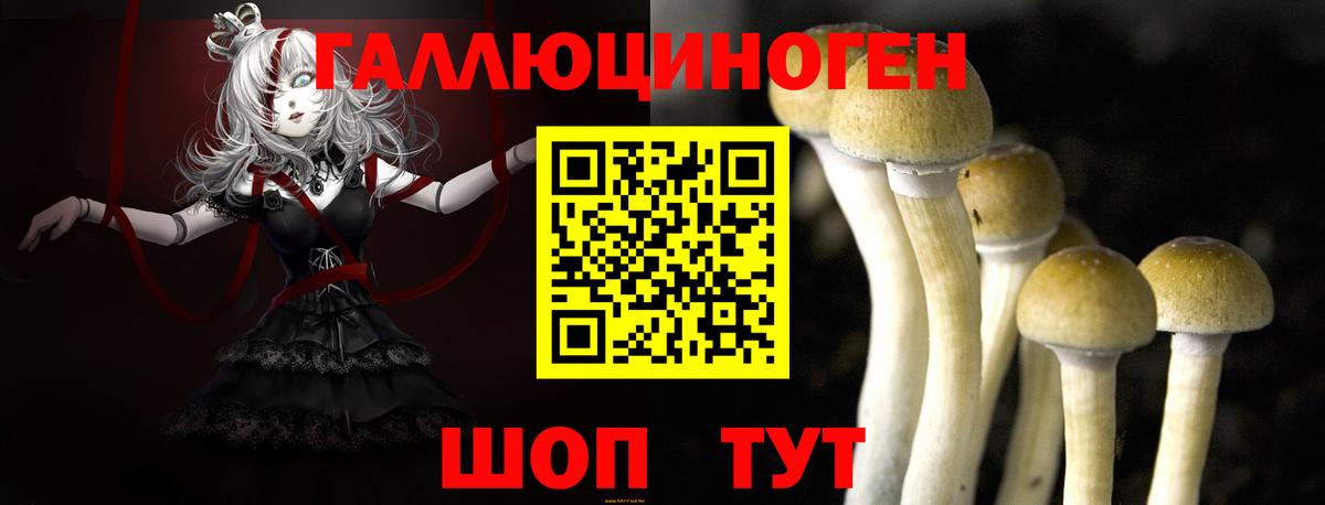 Гусев  Галлюциногенные грибы ЛСД  Вход с VPN 